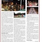 2013 – Revista Municipal La Veu de Palau