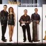 Díptic promocional Orgue de Gats (2004) Cara 2