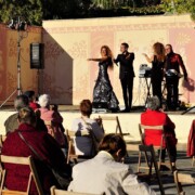 ESPARREGUERA · Festa + 65 · Diumenge 4 octubre 2020 · Espectacle "Varie-Gats"