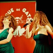 PERAFITA · Festa de la Candelera · Espectacle "Varie-Gats" · Dissabte 5 febrer 2022