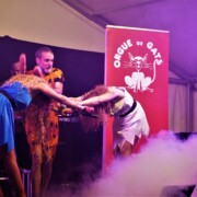 Festa Major de Graugés (Avià) · Dissabte 14 de maig de 2022 · Espectacle "Varie-Gats"