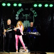 CAMARASA (la Noguera) · Festa Sant Antoni · Varie-Gats + Ball · Orgue de Gats Quintet · 17/01/2024