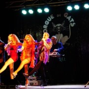 CAMARASA (la Noguera) · Festa Sant Antoni · Varie-Gats + Ball · Orgue de Gats Quintet · 17/01/2024