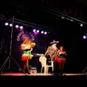 ALFARRÀS (Segrià) · Festa Sant Sebastià · Espectacle Varie-Gats + Ball · Orgue de Gats Quartet · 21/01/2024