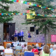 VERGÓS GUERREJAT (la Segarra) Espectacle Varie-Gats · Festa Major 11/08/2024