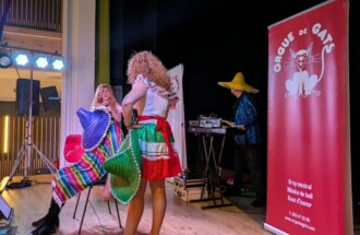 ALP (la Cerdanya) · Festa dels Ais · Espectacle VarieGats + Ball · 25/10/2026